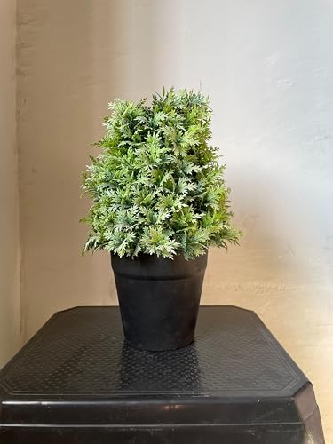 Image of Artificial Realistic Coriander Leaves Bonsai Potted Plant for Home Office Kitchen Living Room Hotel Restorent Table Corner Center Piece | Natural Look | Show Piece | 36 cm