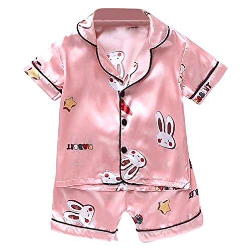 Kaerm Toddler Baby Girls Cute Pattern Sleeveless Tank Tops with Shorts Pants Two Piece Pj Set Pink A 9-12 Months