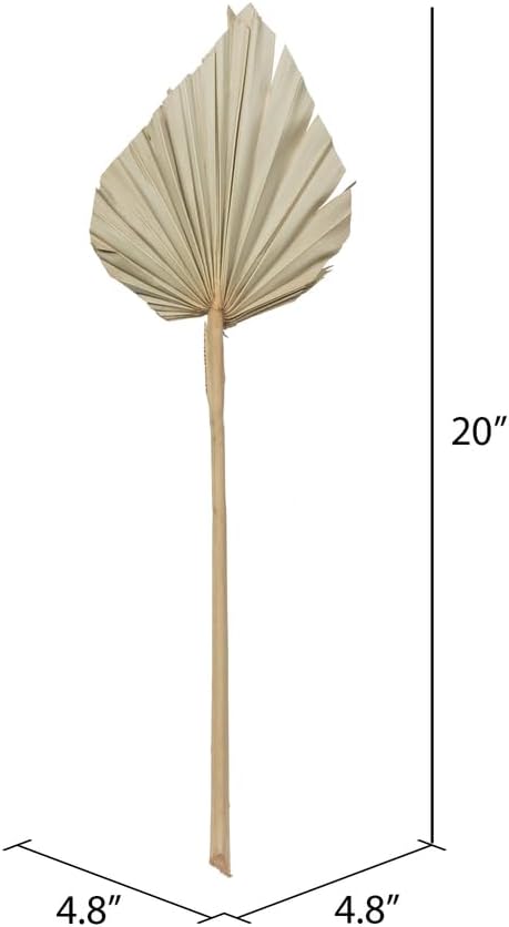 Vickerman Natural Botanicals 20" Palm Spear, Natural. Includes 50 Pieces per Pack.