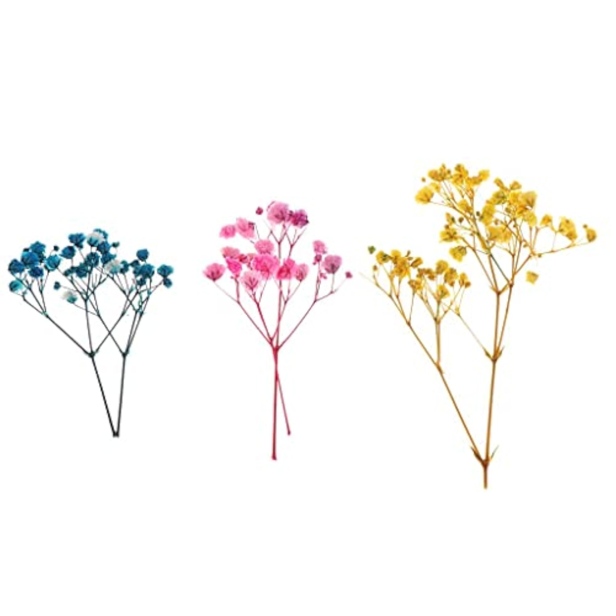 Pressed Leaves Natural Dried Flowers for Scrapbooking