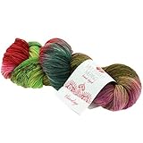  Lana Grossa MEILENWEIT Merino 100 Hand-Dyed 307 - Himalaya