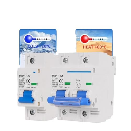 Mini disyuntor de 10KA contra cortocircuitos con interruptor magnetotérmico 2P 100A automático 4