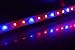 SMAKN Non waterproof Superbright 50cm Red, yellow, blue SMD Led Strip Light Lamp with USB Cable Port 5V