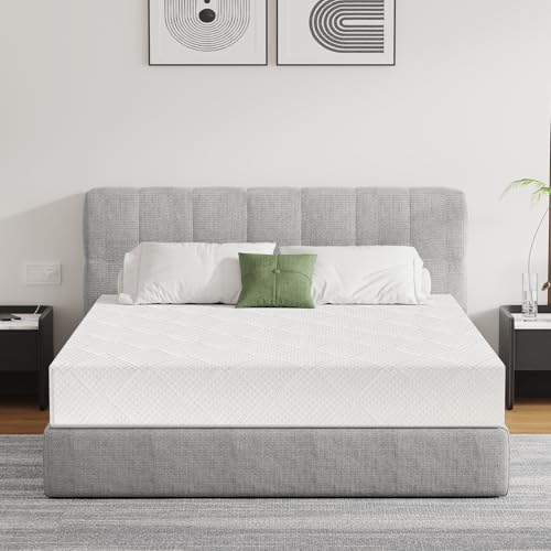 Extra Firm 8 Inch Foam Mattress