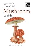 Concise Mushroom Guide