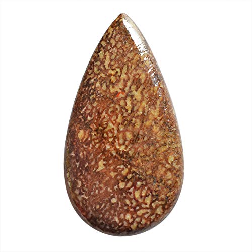 ABC Jewelry Mart Utah Dinosaur Bone Cabochon, Size 32x17x4 MM, Pear Shape, Flat Back, Dino Bone, Fossilized Bone, Stone for Pendant, AG-13507