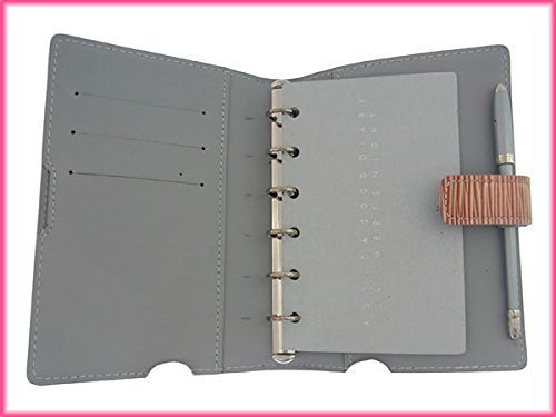 Louis Vuitton サイバーエピ レザー 手帳カバー　ピンク Amazon.co.jp: [ルイヴィトン] LOUIS VUITTON 手帳カバー