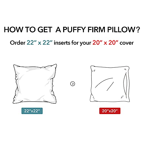 Image of Oubonun 22 x 22 Pillow Inserts (Set of 2) - Throw Pillow Inserts with 100% Cotton Cover - 22 Inch Square Interior Sofa Pillow Inserts - Decorative Pillow Insert Pair - White Couch Pillow
