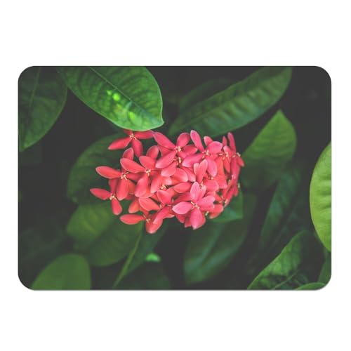 Sets de table souples en liège avec finitions fleurs de Red Ixora