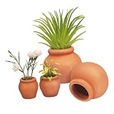 Pot de pépinière pour plantes - parfait pour exposer des plantes, mais peut également être utilisé pour contenir et organiser une variété d'autres objets, pots de plantation