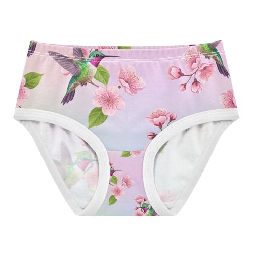 Toddler Girl Panties, Hummingbirds Pink Cherry Blossoms Cotton Underwear for Girls, 2T–8 Years