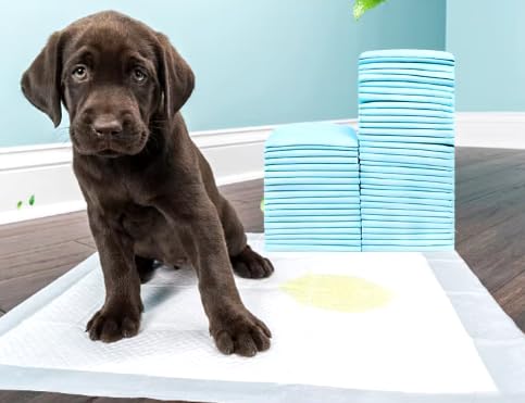 Image of Generic Basics Dog and Puppy Pee Pads, 50 Count, Super Absorbent & Odor Eliminating, Regular Size, 22 x 18 Inches, Blue & White