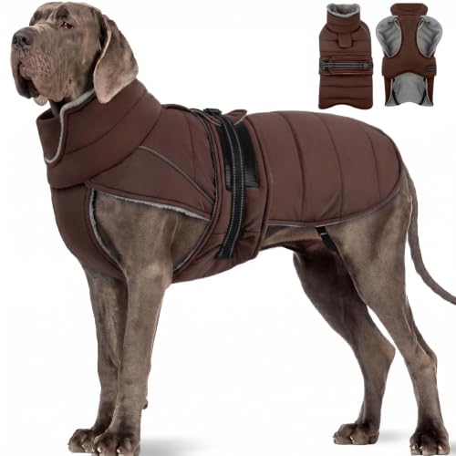 View 2