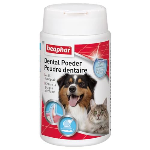 BEAPHAR - Poudre Dentaire pour Chien et Chat - Nettoyage des Dents sans brossage ni rinçage - Combat la Plaque Dentaire, la Formation de tartre et la Mauvaise...