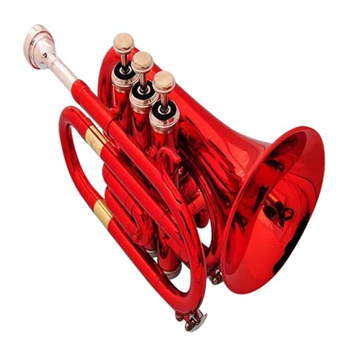 p[gybg ~j BbL[ bh Vo[ O[ S[h Sҗpgybg(Red)