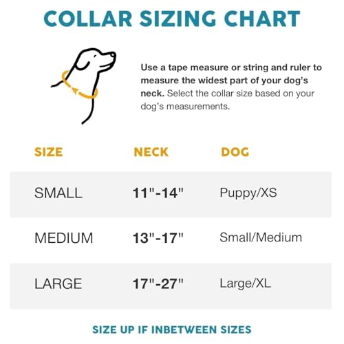 Embark Urban Dog Collars with Soft Padded Neck, Matching Set with Urban Leash and Harness, Pet Collars for Dogs & Most Breeds - Puppy Collars, Dog Collar for Medium Large & Small Dogs UK - Image 3