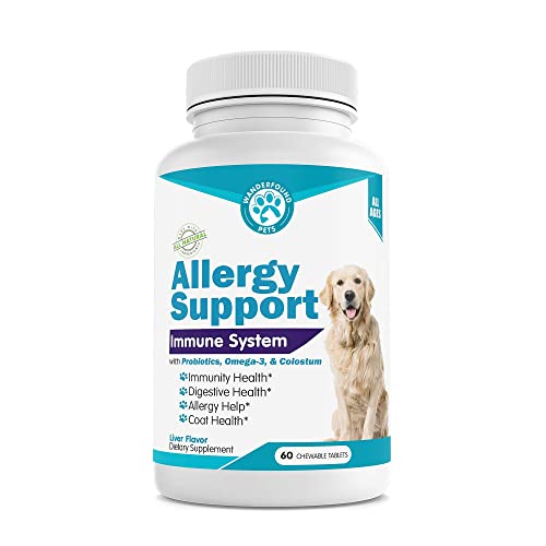 Top 10 Allergy Medicine Against Dogs of 2022 Katynel