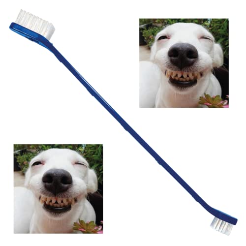 Spazzolino da Denti per Animali Domestici