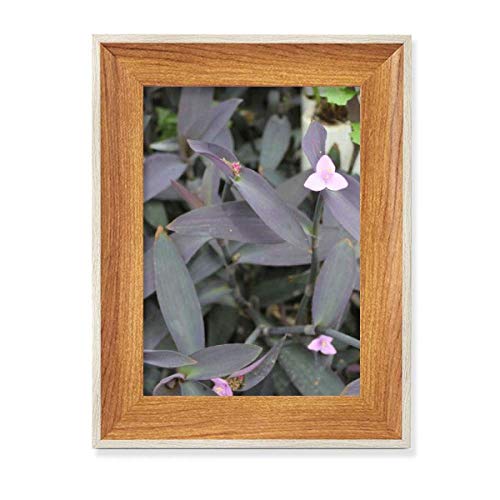 CgsNZ[W fXNgbvؐtHgt[fBXvCA[gGZbg