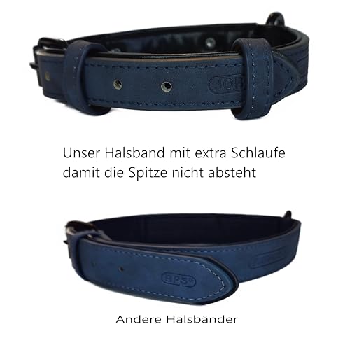 Jacks O Be Hundehalsband Halsband Name Gravur personalisiert Haustier Hund Katze Leder (Blau, M)