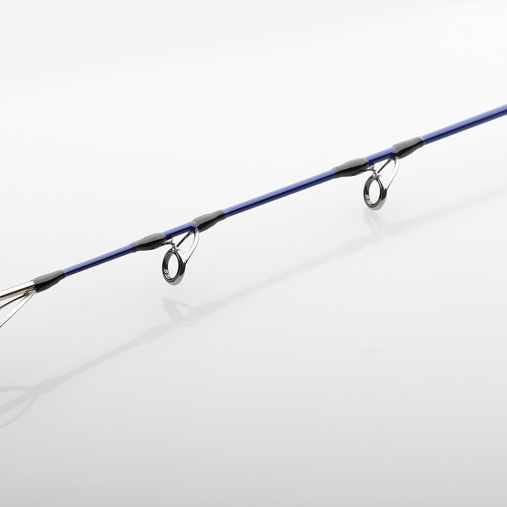 SGS Salzwassercombo Medium 3,05 m 30–100 g mit 5000 FD Spinnrolle | 2-teilig, Shore Jigging, salzwasserfest, für Küsten- und Meeresangeln