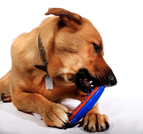 Dental Duo Dog Toy