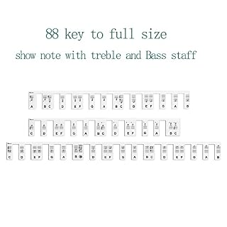 Étiquettes Note Piano STLOVe® Autocollant Note Piano 88 Touches Débutants Autocollants Clavier Piano Enlever & Trimmable… - Les Beatles, Paul McCartney, John Lennon, RIngo Starr, George Harrison Étiquettes Note Piano STLOVe® Autocollant Note Piano 88 Touches Débutants Autocollants Clavier Piano Enlever & Trimmable… – Image 6