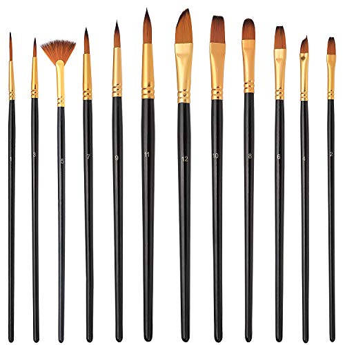 Elisel Paint Brush Set 12 Pcs Paint Brushes For Acrylic Painting, Oil Watercolor Paint Brush, Artist Professional Paintbrushes For Kids, Arts Crafts Supplies (Black) #TOP19