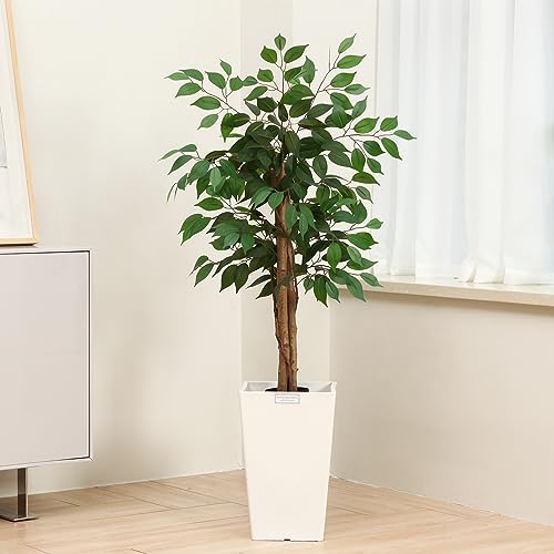 SOGUYI 3ft Ficus Artificial Trees with Realistic Leaves and Trunk, Silk Fake Ficus Tree with Plastic Nursery Pot, Faux Ficus Tree for Office Home Farmhouse for Indoor Outdoor Decor(Set of 1) - Thumbnail 7