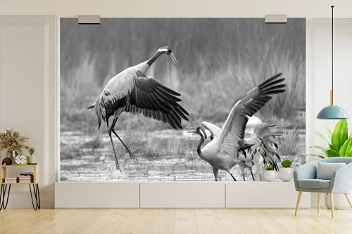 Aftermarket FARO FANALE PROIETTORE LAMPADA H7-H7