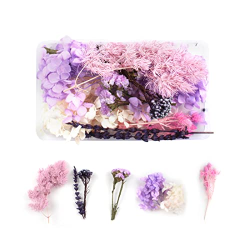 Tomedeks Fleurs Séchées Fleur Bouquet Fleurs Sechees Naturel Fleurs Seches Decoratif Bouquet Fleurs séchées naturelles séchées en relief DIY Fleurs préservées Décoration florale(D) Cover