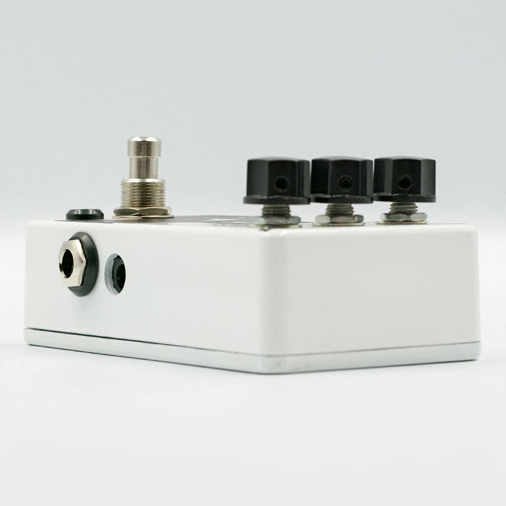 Westminster Effects Spurgeon Reverb V2 : Amazon.fr: Instruments de