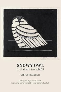 Paperback Snowy Owl: Ulchabhán Sneachtúil [Irish] Book