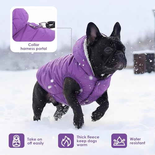 Veste chaude pour chien SAWMONG imperméable violet pour chiot actif - 6