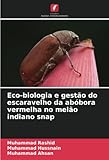 Eco-biologia e gestão do escaravelho da abóbora vermelha no melão indiano snap