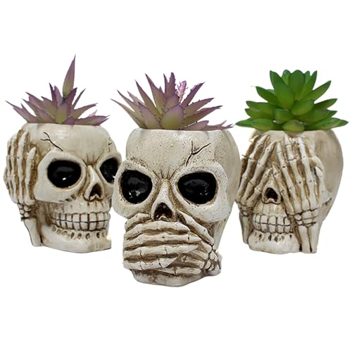 Pot de fleurs tête de mort résine : fixez votre déco de table - 2