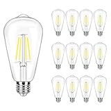 winsaLED Daylight Led Bulbs, 4 Watt ST19 Edison 5000K Daylight LED Light Bulb, E26 Standard Base, Flickering Free, 90 CRI, Not Dimmable, 12 Pack