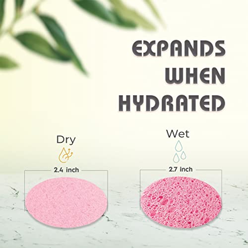 60-Count Compressed Facial Sponges, 100% Natural Cosmetic Spa Sponges for Facial Cleansing, Exfoliating Mask (Pink Round) - Image 3
