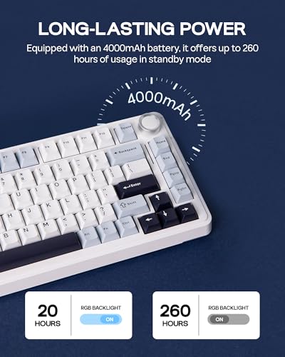 Image of EPOMAKER EA75 75% RGB Gaming Mechanical Keyboard, 2.4GHz /Type-C /BT Creamy Wireless Keyboard with Knob, Shine Through PBT Keycaps, Hot Swappable for Gamers (Light Blue, Graywood V3 Switch)