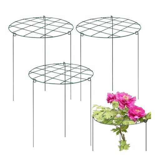 Tutores para Plantas Paquete de Jaula de Soporte de peonía de 16x24 Pulgadas for Crecer a través de Soportes de Plantas for Plantas al Aire Libre, estacas de Rejilla de aro de Anillo