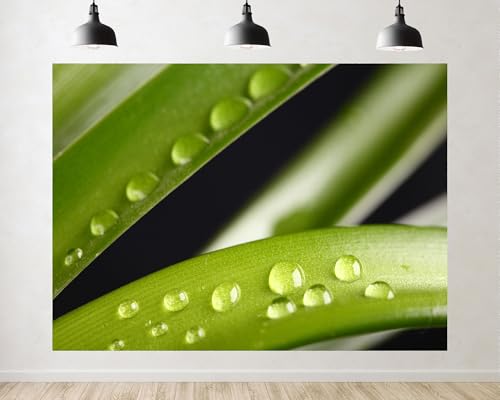 Trykid 8x8ft Fresh Dewy Green Leaf Backdrop Natural Water Drop