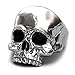 EVBEA Skull Rings for Men Big Biker Rock Mens Motorcycle Jewelry(wt,10)