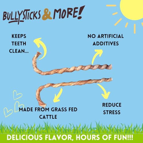 Image of BULLYSTICKS & MORE - 10-12 Inch Bully Stick Candy Cane Twists - 10 Count