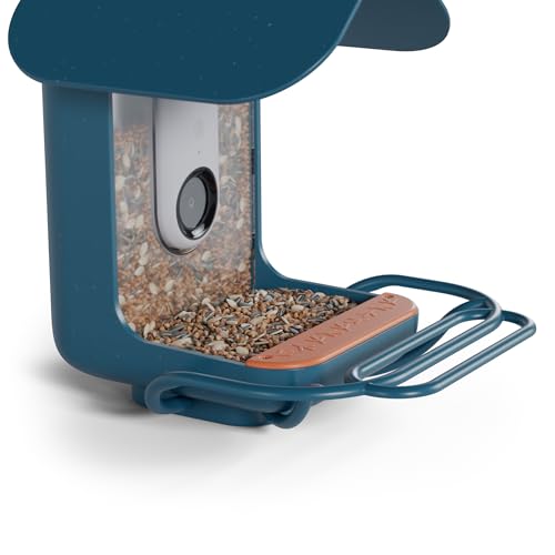 image for Birdbuddy Blue Perch Extender – Add-On Accessory for Better Watching