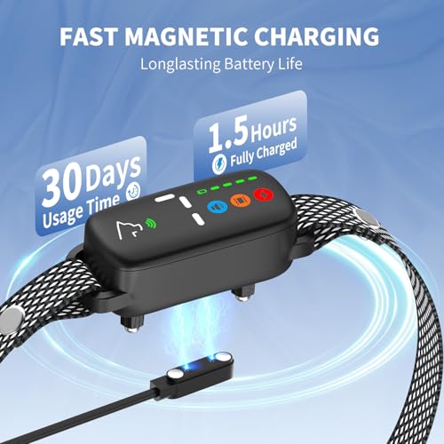 Chien portant le collier anti aboiement WELLTURN en extérieur