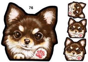 Amazon 犬ステッカー チワワ76 チョコタン シール雑貨グッズ オリジナル ステッカー デカール 車 バイク