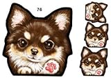 犬ステッカー チワワ76 チョコタン/シール雑貨グッズ/オリジナル