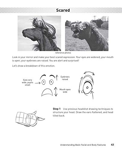 Drawing Furries: Learn How to Draw Creative Characters, Anthropomorphic Animals, Fantasy Fursonas, a