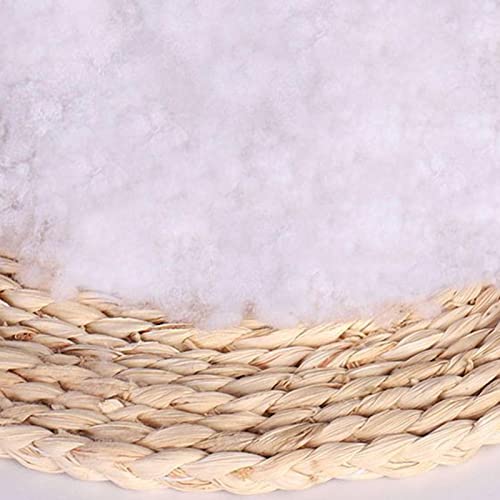 Jomewory Armlehne Hund Katze Autositz, Für Kleine Hunde und Katzen, Tragbare Haustier Reisetasche, Abnehmbarer Sicherheitssitz, mit Sicherheitsgurt für Hunde Katzen Hundeautositz (45x22x25cm)