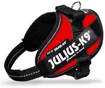 Canicaprice Julius K9 Power IDC Red Harness + 2 Customisable Tags